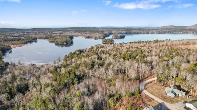 LOT25 Eagle Ln, Sullivan, ME 04664
