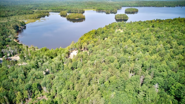 LOT25 Eagle Ln, Sullivan, ME 04664