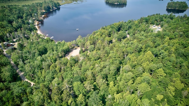 LOT25 Eagle Ln, Sullivan, ME 04664