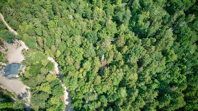 LOT25 Eagle Ln, Sullivan, ME 04664