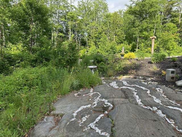 599 Mile Square Rd, Avon, ME 04966 - view of yard