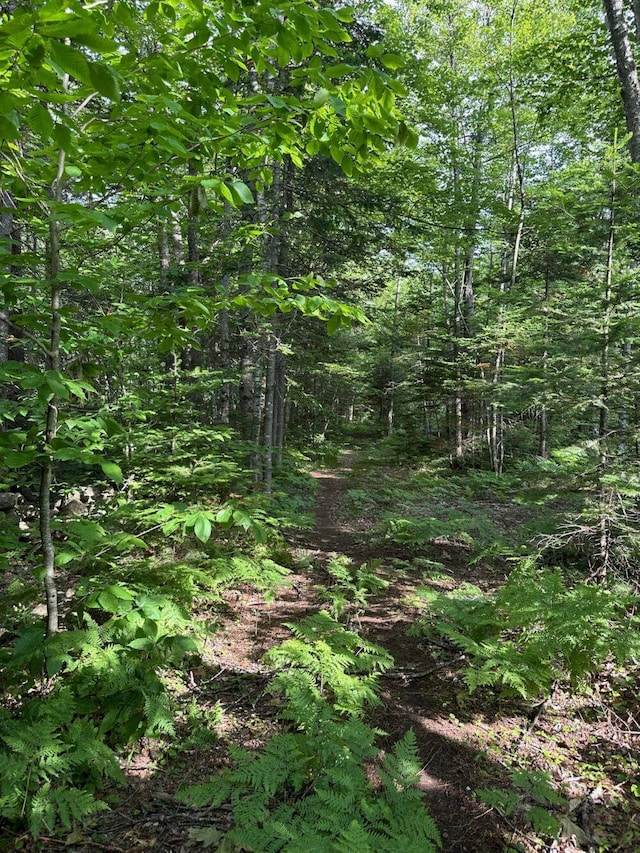 599 Mile Square Rd, Avon, ME 04966 - view of woods