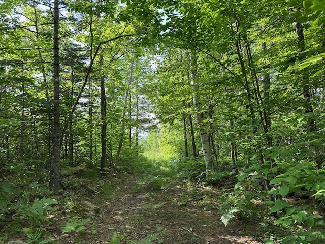 599 Mile Square Rd, Avon, ME 04966 - view of woods