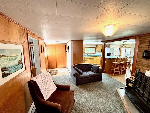 41 York St, Millinocket, ME 04462 - living room with wood walls, light carpet, and a wood stove