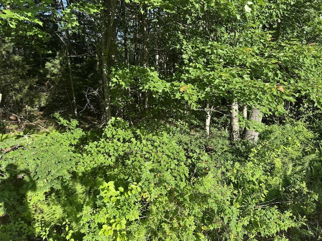 LOT8E Country Club Rd, Sanford, ME 04073 - photo 6