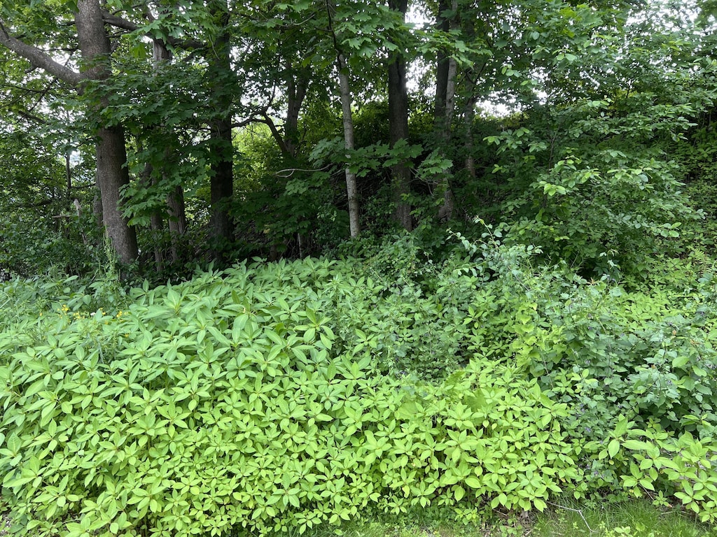 LOT76A Eastern Rd, Warren, ME 04864 - photo 1