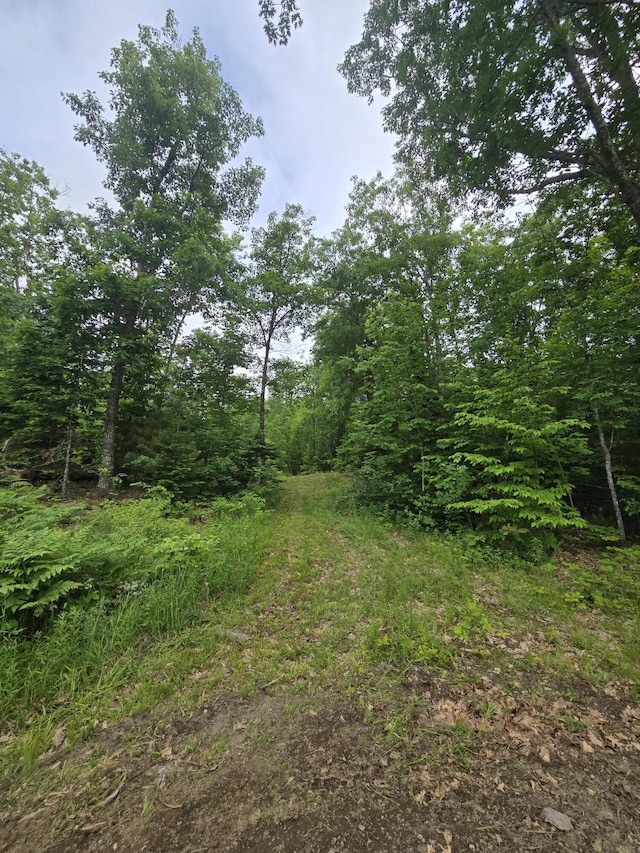 1083 N Rd, Newburgh, ME 04444 - view of tree filled area