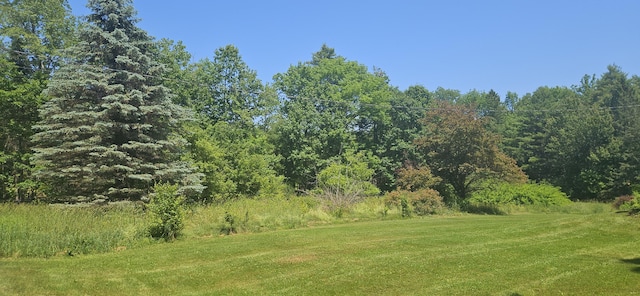 187 Richards Rd, Benton, ME 04901 - view of grassy yard with a forest view