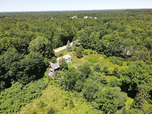 187 Richards Rd, Benton, ME 04901 - aerial view of a forest