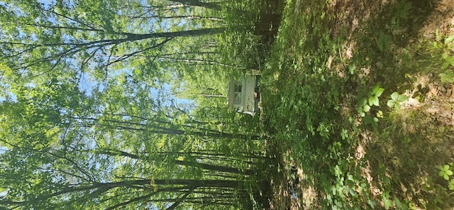 187 Richards Rd, Benton, ME 04901 - view of local wilderness