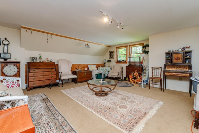 365 Waterville Rd, Skowhegan, ME 04976 - carpeted living room with track lighting and lofted ceiling
