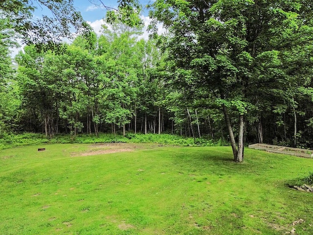 171 Bassett Rd, Winslow, ME 04901 - view of green lawn featuring a view of trees