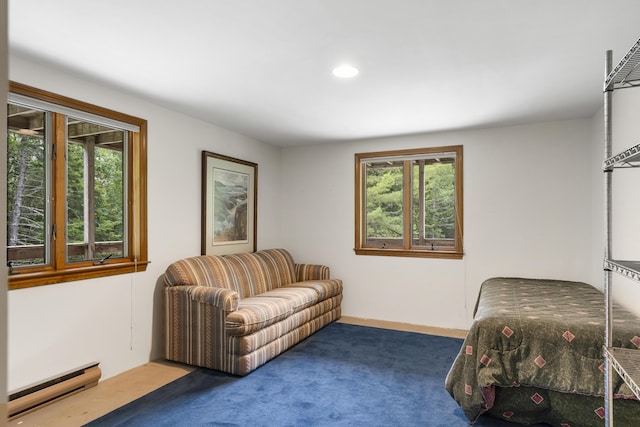 11 Youngs Rd, Southport, ME 04576 - photo 10