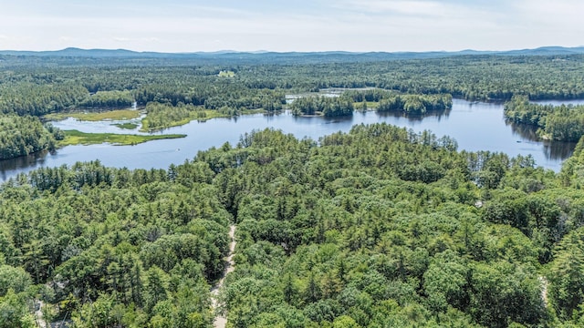47 Nob Hill Rd, Limerick, ME 04048 - photo 33