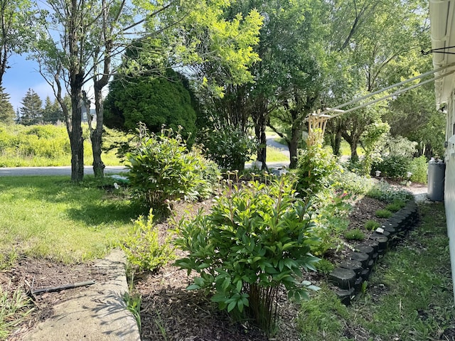 75 York Rd, Vinalhaven, ME 04863 - photo 39