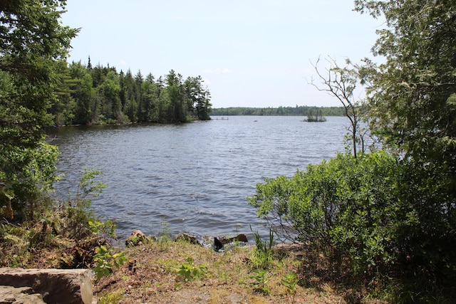 189 E Shore Rd, Benedicta Twp, ME 04733 - water view