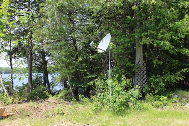 189 E Shore Rd, Benedicta Twp, ME 04733 - view of local wilderness with a nearby body of water