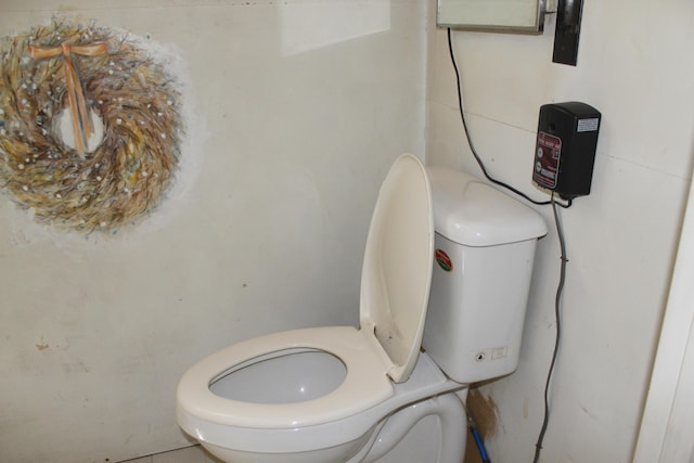 189 E Shore Rd, Benedicta Twp, ME 04733 - bathroom with toilet