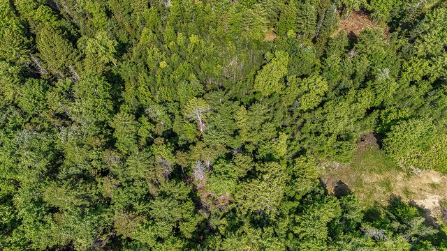 68 Mayflower Ln, Berwick, ME 04347 - photo 27