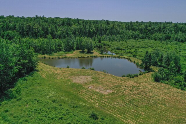 1075 Sunset Ave, Glenburn, ME 04401 - photo 16