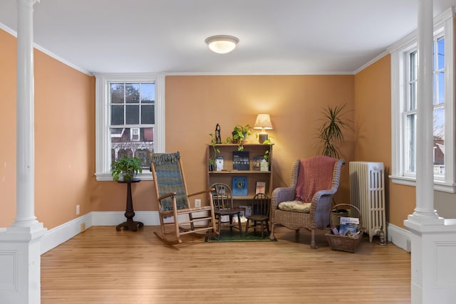 37 Central St, Hallowell, ME 04347 - living area featuring radiator heating unit, decorative columns, wood finished floors, and crown molding