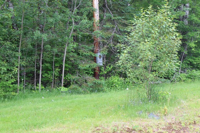 1100 Shin Pond Rd, Mount Chase, ME 04765 - view of wooded area