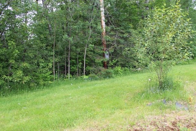 1100 Shin Pond Rd, Mount Chase, ME 04765 - view of tree filled area
