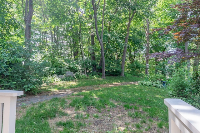459 Allen Ave Unit 5, Portland, ME 04103 - view of yard featuring a view of trees