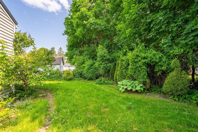 212 Lincoln St, Bangor, ME 04401 - view of yard