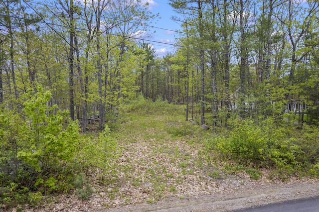 LOT5 Brown Rd, Wiscasset, ME 04578