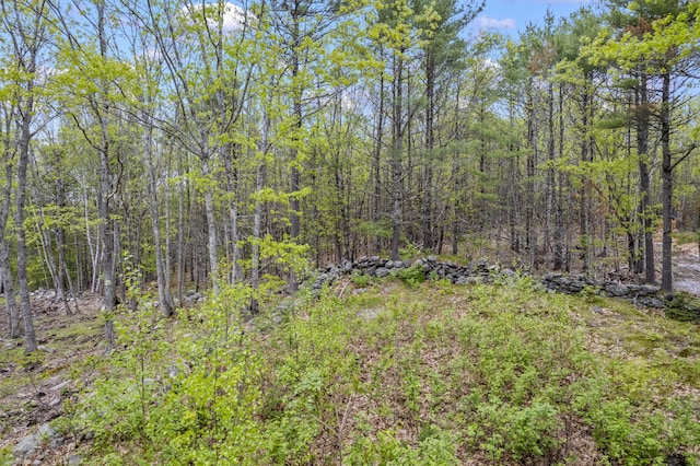 LOT5 Brown Rd, Wiscasset, ME 04578