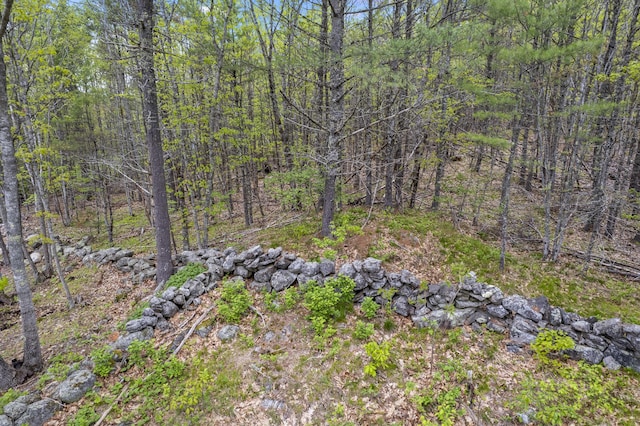 LOT5 Brown Rd, Wiscasset, ME 04578