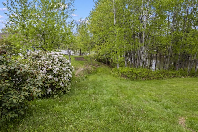 LOT5 Brown Rd, Wiscasset, ME 04578