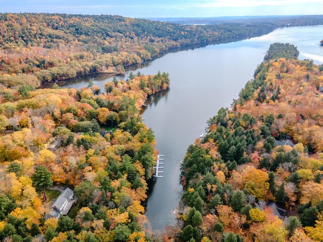 51 Tracy Cove Cir, Rome, ME 04963 - drone / aerial view of a heavily wooded area and a nearby body of water