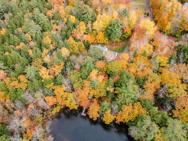 51 Tracy Cove Cir, Rome, ME 04963 - drone / aerial view of a forest and a large body of water