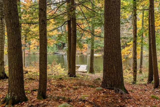 51 Tracy Cove Cir, Rome, ME 04963 - water view featuring a forest