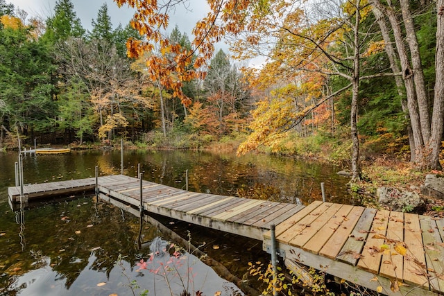 51 Tracy Cove Cir, Rome, ME 04963 - dock with a wooded view and a water view