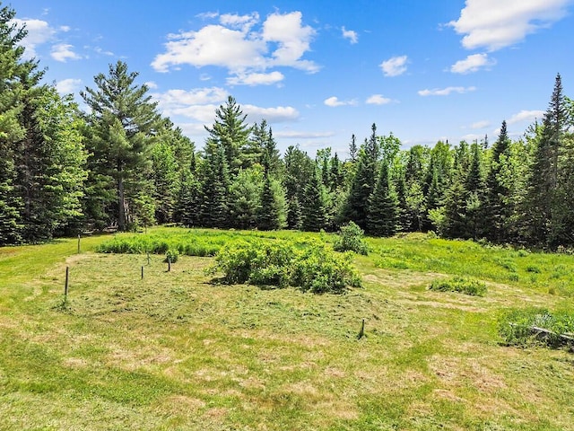 259 Drury Rd, Solon, ME 04979 - view of wooded area