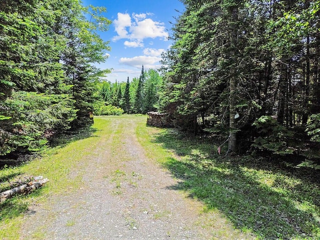 259 Drury Rd, Solon, ME 04979 - view of street with a view of trees
