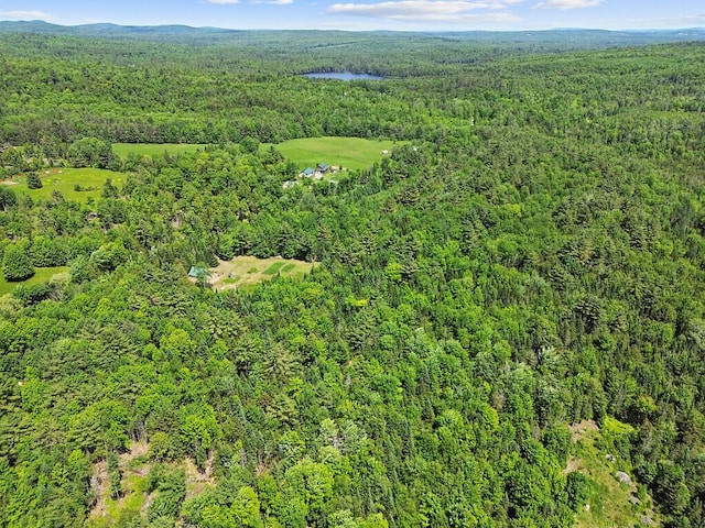 259 Drury Rd, Solon, ME 04979 - aerial overview of property's location with a forest and a nearby body of water