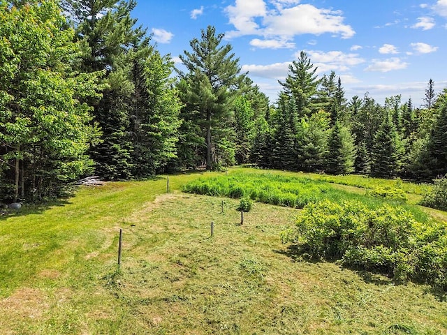 259 Drury Rd, Solon, ME 04979 - view of yard featuring a view of trees