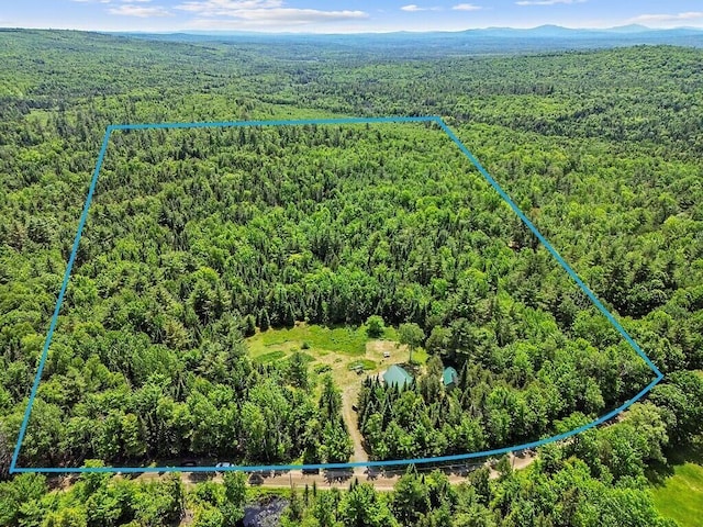259 Drury Rd, Solon, ME 04979 - aerial view of property and surrounding area with a forest and property boundaries highlighted