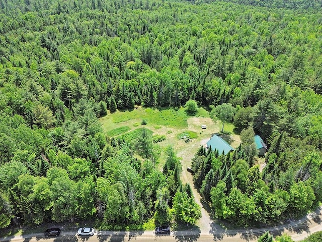 259 Drury Rd, Solon, ME 04979 - drone / aerial view of a forest