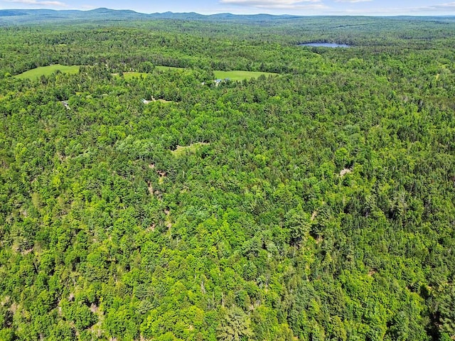259 Drury Rd, Solon, ME 04979 - bird's eye view of a heavily wooded area and a mountain backdrop