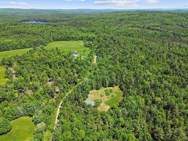 259 Drury Rd, Solon, ME 04979 - aerial overview of property's location with a heavily wooded area and a large body of water