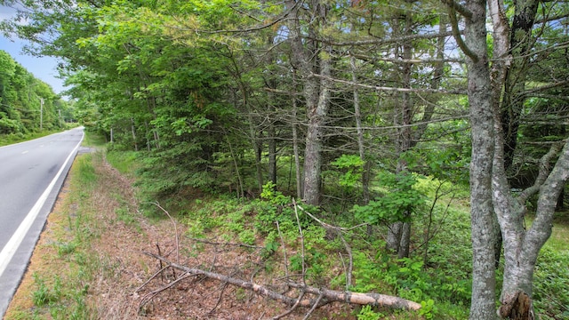 00 Front Ridge Rd, Orland, ME 04472 - photo 20