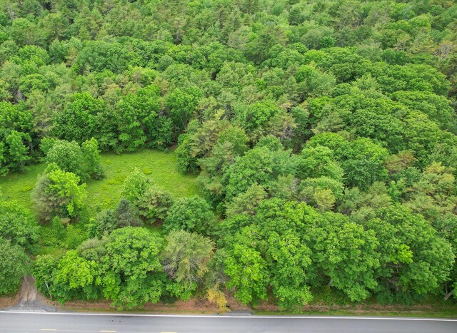 00 Front Ridge Rd, Orland, ME 04472 - photo 4