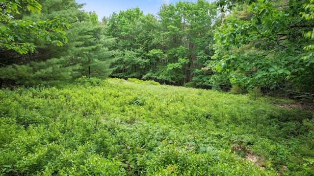 00 Front Ridge Rd, Orland, ME 04472 - photo 2