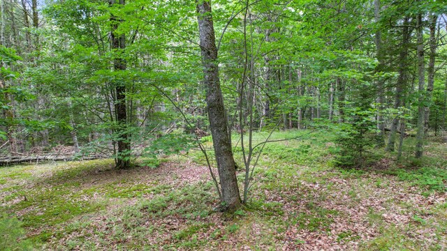 00 Front Ridge Rd, Orland, ME 04472 - photo 8