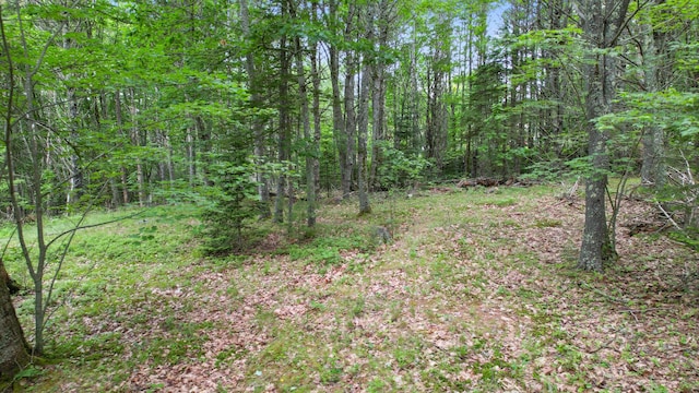 00 Front Ridge Rd, Orland, ME 04472 - photo 9